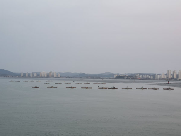 전북 군산 내항의 통항로를 막은 불법 실뱀장어 조업어선./군산해경