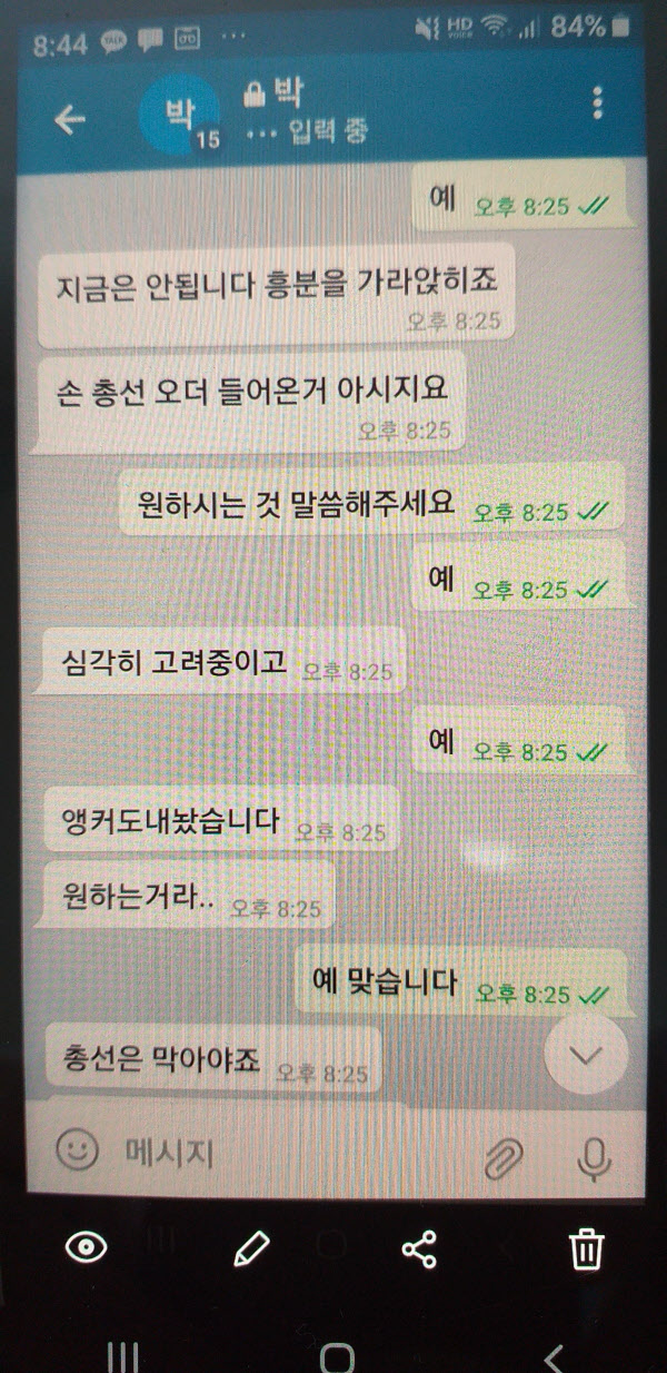 프리랜서 기자 김웅과 조주빈이 주고 받았다는 텔레그램 대화 내용/김웅 유튜브 채널