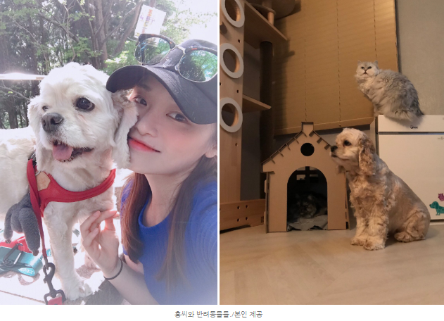 전공과 180도 다른 이 일 할 줄이야…29살 그녀 직업은? - Jobsn