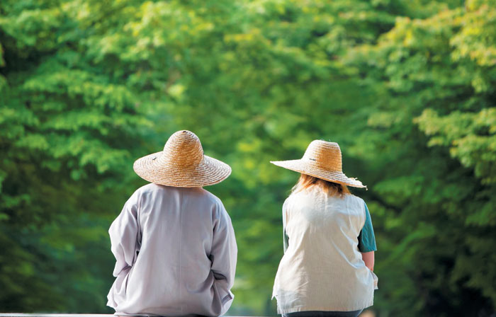 한국불교문화사업단은 코로나 일선에서 활약한 의료진과 관련 공무원들의 심리 방역을 위해 산사에서 휴식할 수 있는 템플스테이를 지원한다. /한국불교문화사업단