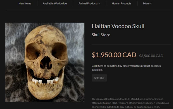 인간 유골을 취급하는 캐나다 업체의 판매 페이지. '아이티에서 부두교 의식에 쓰이던 해골'이라며 실제 인간 두개골을 약 170만원에 판매하고 있다. 캐나다에서는 학술용 등의 목적으로 하는 인간 유골 거래가 합법이다. /스컬 스토어 홈페이지
