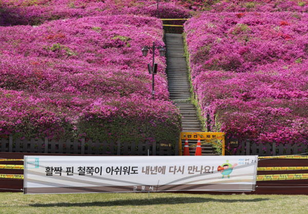 철쭉 동산 전면에 군포시가 '내년에 다시 만나요!' 플래카드를 걸어놨다. / 오종찬 기자