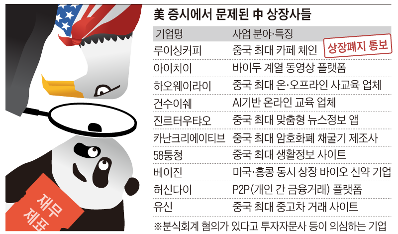 美 증시에서 문제된 中 상장사들