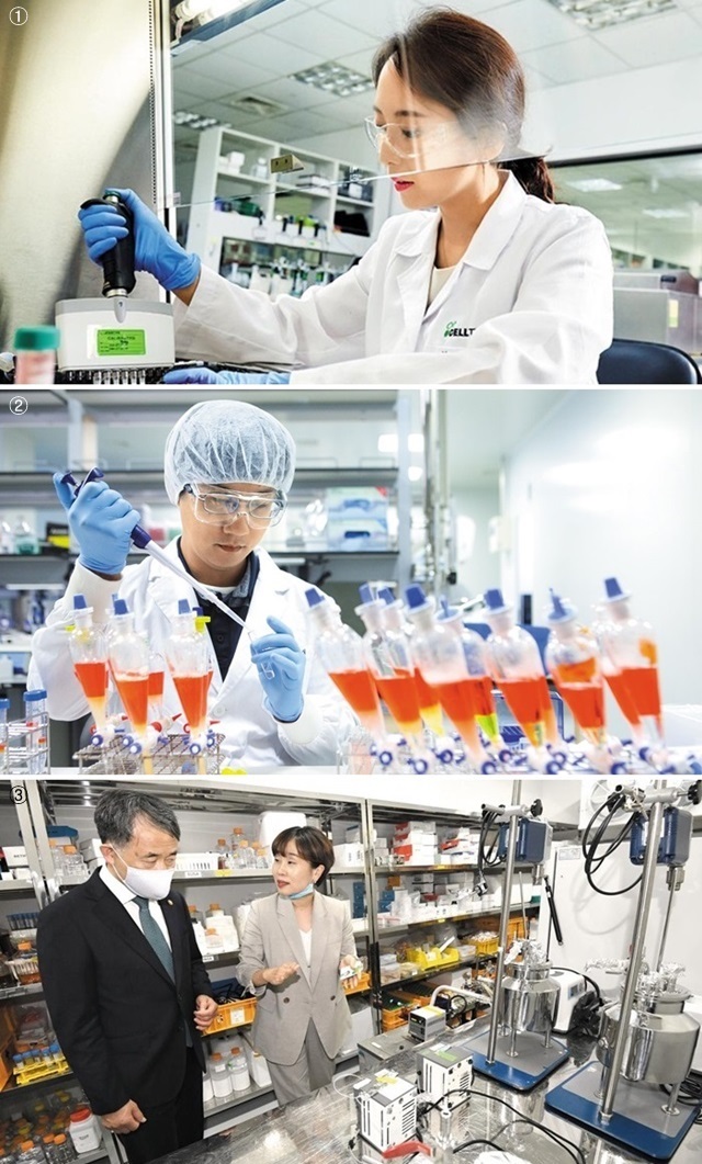 신종 코로나바이러스 감염증(코로나19) 사태가 장기화되면서 국내 기업들이 백신·치료제 개발에 속도를 내고 있다. 사진은 셀트리온 연구원(①)과 SK바이오사이언스 연구원(②). ③박능후 보건복지부 장관이 지난 13일 코로나19 혈장 치료제를 개발 중인 경기 용인시 GC녹십자를 방문해 연구 시설을 살펴보고 있는 모습.