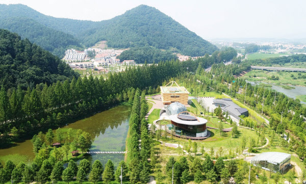 전남 담양군 명물 메타세쿼이아 길(왼쪽에 줄지어 있는 가로수)./담양군