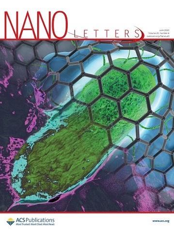 육종민·한영기 교수팀의 연구성과가 표지논문으로 실린 ‘나노 레터스(Nano Letters)’ 6월호의 표지 사진./KAIST 제공