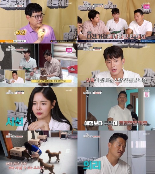 (첨부용)'개는 훌륭하다'