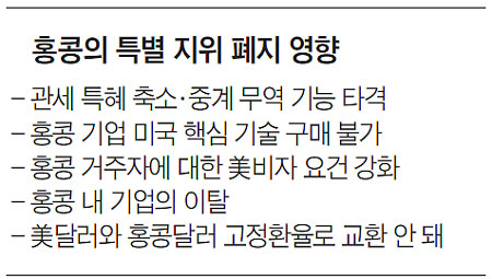 홍콩의 특별 지위 폐지 영향
