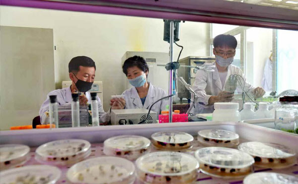 북한 과학자들이 마스크를 쓴채 작업하고 있다/노동신문/뉴스1