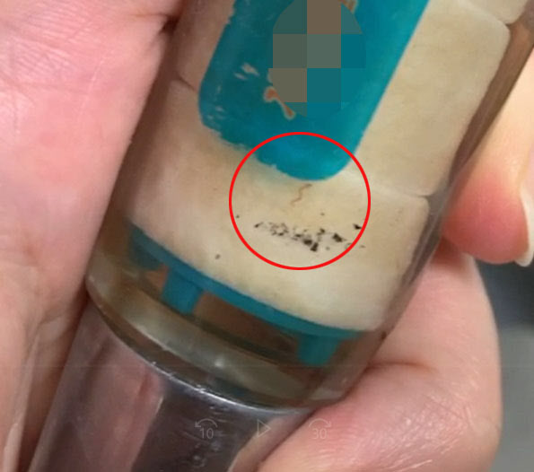 인천시 서구 검암동 빌라에 공급된 수돗물에서 발견된 유충./연합뉴스