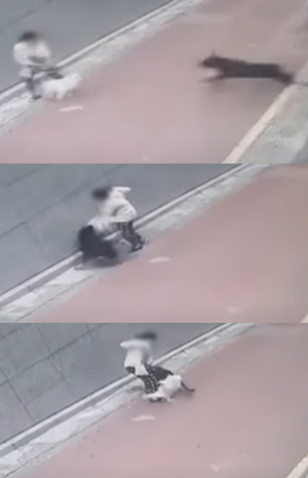 /연합뉴스TV 캡처