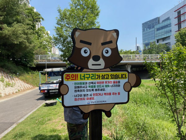 경기도 성남 탄천 인근에 너구리 주의 푯말이 설치돼 있다. /성남시