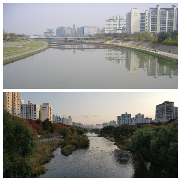 경기도 성남 탄천의 10년전과 최근의 모습. 10년 전 하탑교 일대(사진 위)는 황량했지만 성남시가 생태복원사업에 나서 최근 하탑교 일대(사진 아래)는 수풀이 우거지게 됐다./성남시