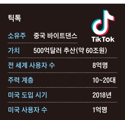 틱톡 개요 표