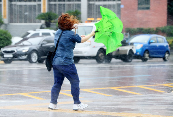 북상하는 제8호 태풍 '바비'의 직접 영향권에 접어든 26일 오전 제주시 내 거리에서 강한 비바람에 한 시민이 힘겹게 걸어가고 있다./연합뉴스