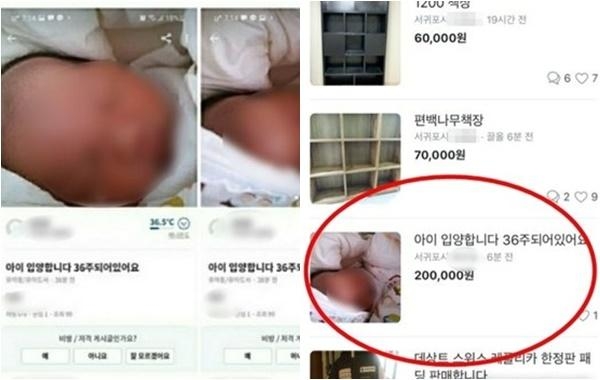 당근마켓 판매글