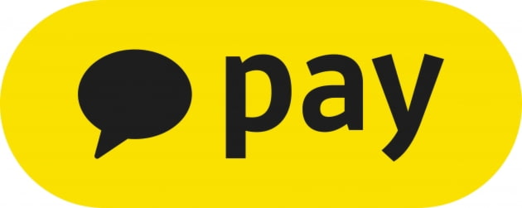 Kakao Pay applies for preliminary authorization for digital non-life insurers…  Full-fledged advancement of the platform to the insurance industry