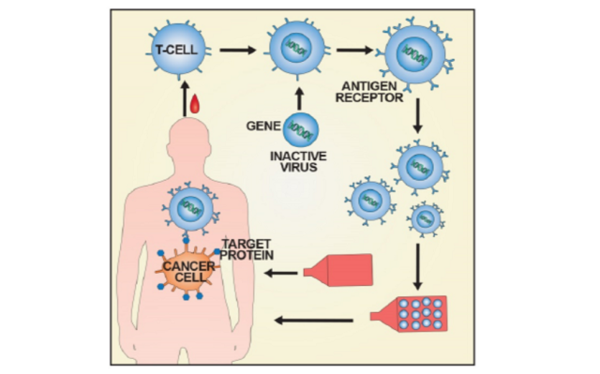 Korea Food and Drug Administration, Novartis Immunity Cancer Drug Approved in Korea…  No. 1 advanced biopharmaceutical