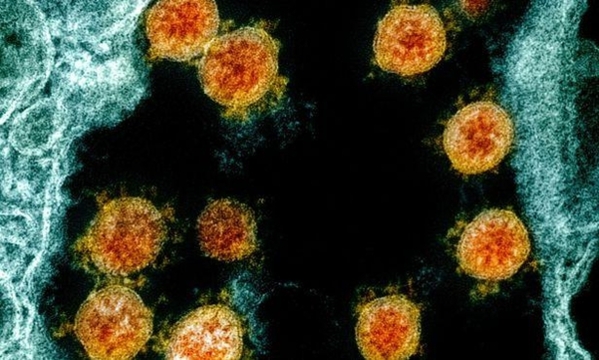 Mutated virus outbreak, world corona 19 re-proliferation…  South America, Europe and India’emergency’