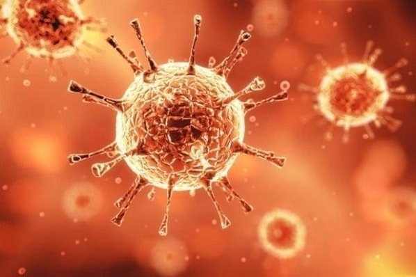 백신과 함께 ‘돌연변이 바이러스’도 확산 … 전 세계에 코로나 재 확산 징후