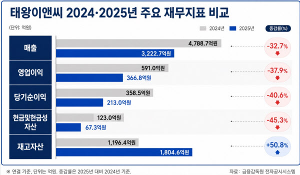 [땅집고] 태왕이앤씨의 2024년과 2025년도 주요 재무 지표 비교. /이지은 기자