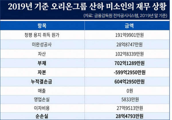 [땅집고] 2019년 말 기준 ‘청평솔뱅72’ 사업을 전담했던 오리온그룹 산하 미소인의 재무 상황. /이지은 기자