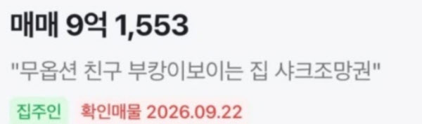 [땅집고] 상어 부캉이가 보이는 집이라고 홍보하는 부동산 매물 설명. /온라인 커뮤니티